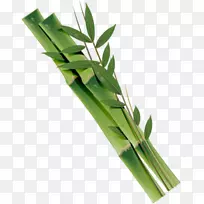 ����Ⱦɫ����-������