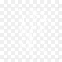 南悉尼兔-威林加海雕新西兰勇士电子邮件悉尼公鸡-电子邮件-空若网 南悉尼兔-威林加海雕新西兰勇士电子邮件悉尼公鸡-电子邮件-空若网