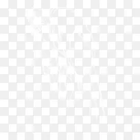 南悉尼兔-威林加海雕新西兰勇士电子邮件悉尼公鸡-电子邮件-空若网 南悉尼兔-威林加海雕新西兰勇士电子邮件悉尼公鸡-电子邮件-空若网