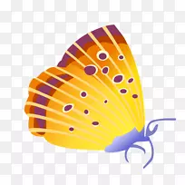 蝴蝶昆虫cdr-蝶-空若网 蝴蝶昆虫cdr-蝶-空若网