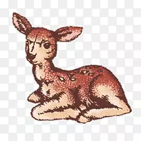 ¹ˮ�ʻ�-÷��¹��ͨ¹-������