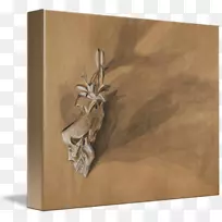 ����ľ��/m/083 vt������ľ��-������