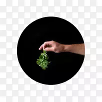 手指-空若网 手指-空若网