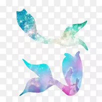 β��֥������-������β��-������