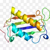 �ߵ������-��-������