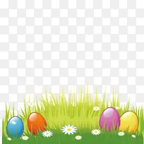 �ʵ��̲ݸ����-������