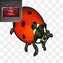 技术-技术-空若网 技术-技术-空若网