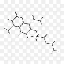化学键dssp氨基酸分子内力氢键-空若网 化学键dssp氨基酸分子内力氢键-空若网