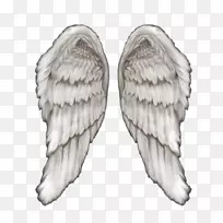 绘画剪贴画-天使翅膀-空若网 绘画剪贴画-天使翅膀-空若网