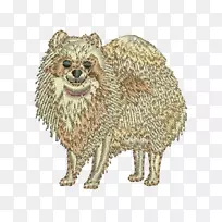 猎犬繁殖美洲浣熊须鼻子浣熊-空若网 猎犬繁殖美洲浣熊须鼻子浣熊-空若网