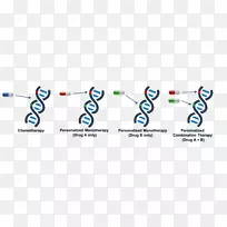 联合治疗药物化疗治疗癌症-空若网 联合治疗药物化疗治疗癌症-空若网