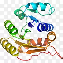 人体首饰有机体线剪贴画线-空若网 人体首饰有机体线剪贴画线-空若网