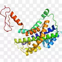 人体首饰有机体线剪贴画线-空若网 人体首饰有机体线剪贴画线-空若网