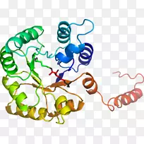 生物线动物剪贴画线-空若网 生物线动物剪贴画线-空若网