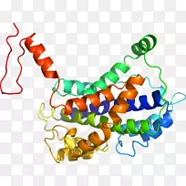 生物线动物剪贴画线-空若网 生物线动物剪贴画线-空若网