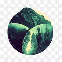 树-树-空若网 树-树-空若网