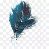 ��ë-��ɫ������ë-������