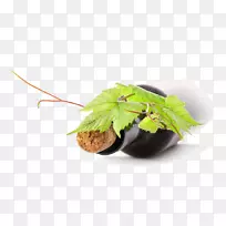 白葡萄酒红葡萄酒-空若网 白葡萄酒红葡萄酒-空若网