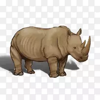 犀牛陆生动物野生动物鼻子-空若网 犀牛陆生动物野生动物鼻子-空若网