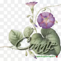 Elen o be sha-人-空若网 Elen o be sha-人-空若网