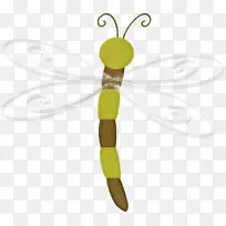 蜻蜓昆虫绘图.手绘蜻蜓-空若网 蜻蜓昆虫绘图.手绘蜻蜓-空若网