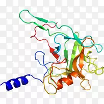 线点生物剪贴画线-空若网 线点生物剪贴画线-空若网
