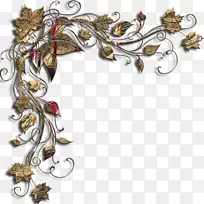 博客日记-空若网 博客日记-空若网