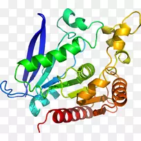 人体首饰有机体线剪贴画线-空若网 人体首饰有机体线剪贴画线-空若网