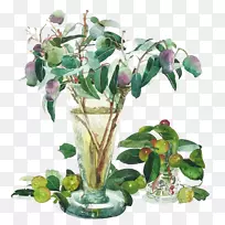 �Ӿ�����ˮ�ʻ�����ˮ�ʻ�ֲ��-������