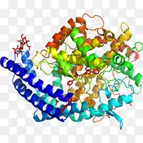 艺术身体珠宝线有机体剪贴画线-空若网 艺术身体珠宝线有机体剪贴画线-空若网