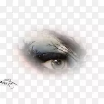 人像眼画摄影.眼睛-空若网 人像眼画摄影.眼睛-空若网