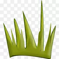 绿草-空若网 绿草-空若网