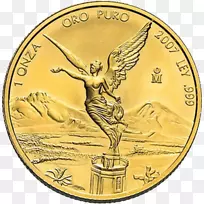 金币-空若网 金币-空若网