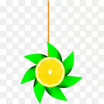 开花植物水果剪贴画设计-空若网 开花植物水果剪贴画设计-空若网