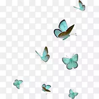 绿松石设计-空若网 绿松石设计-空若网