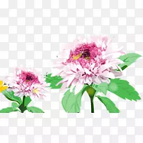 �ջ��������SWF-�ջ�-������