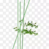 ����ˮ�ʻ�ˮī��.����ˮ�ʻ�-������