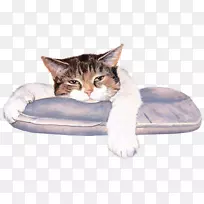 Orkut动画照片桶-动画-空若网 Orkut动画照片桶-动画-空若网