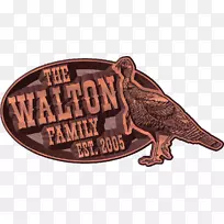 动物-空若网 动物-空若网