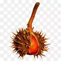 ���Ӱ¸���˹������-������