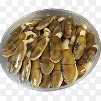 太平洋剃刀蛤贻贝巨型蛤蜊贝类-空若网 太平洋剃刀蛤贻贝巨型蛤蜊贝类-空若网