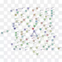 塑料车身首饰线点珠线-空若网 塑料车身首饰线点珠线-空若网