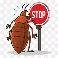 昆虫床虫剪贴画-空若网 昆虫床虫剪贴画-空若网