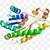 人体首饰有机体线剪贴画线-空若网 人体首饰有机体线剪贴画线-空若网