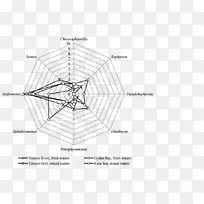 ���������ݶ�������-������