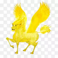 羽毛鸡作为食物-羽毛-空若网 羽毛鸡作为食物-羽毛-空若网