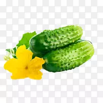 黄瓜有机食品蔬菜水果种子新鲜黄瓜-空若网 黄瓜有机食品蔬菜水果种子新鲜黄瓜-空若网