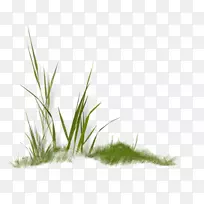 ������-�̲�-������