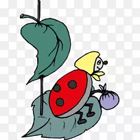 瓢虫动画剪辑艺术-瓢虫-空若网 瓢虫动画剪辑艺术-瓢虫-空若网