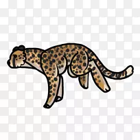 豹爬行动物陆生动物豹-空若网 豹爬行动物陆生动物豹-空若网